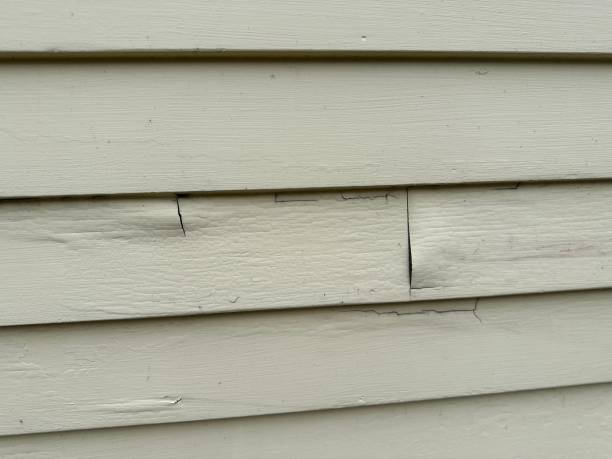 Best Property Management Cleanouts  in Vilonia, AR